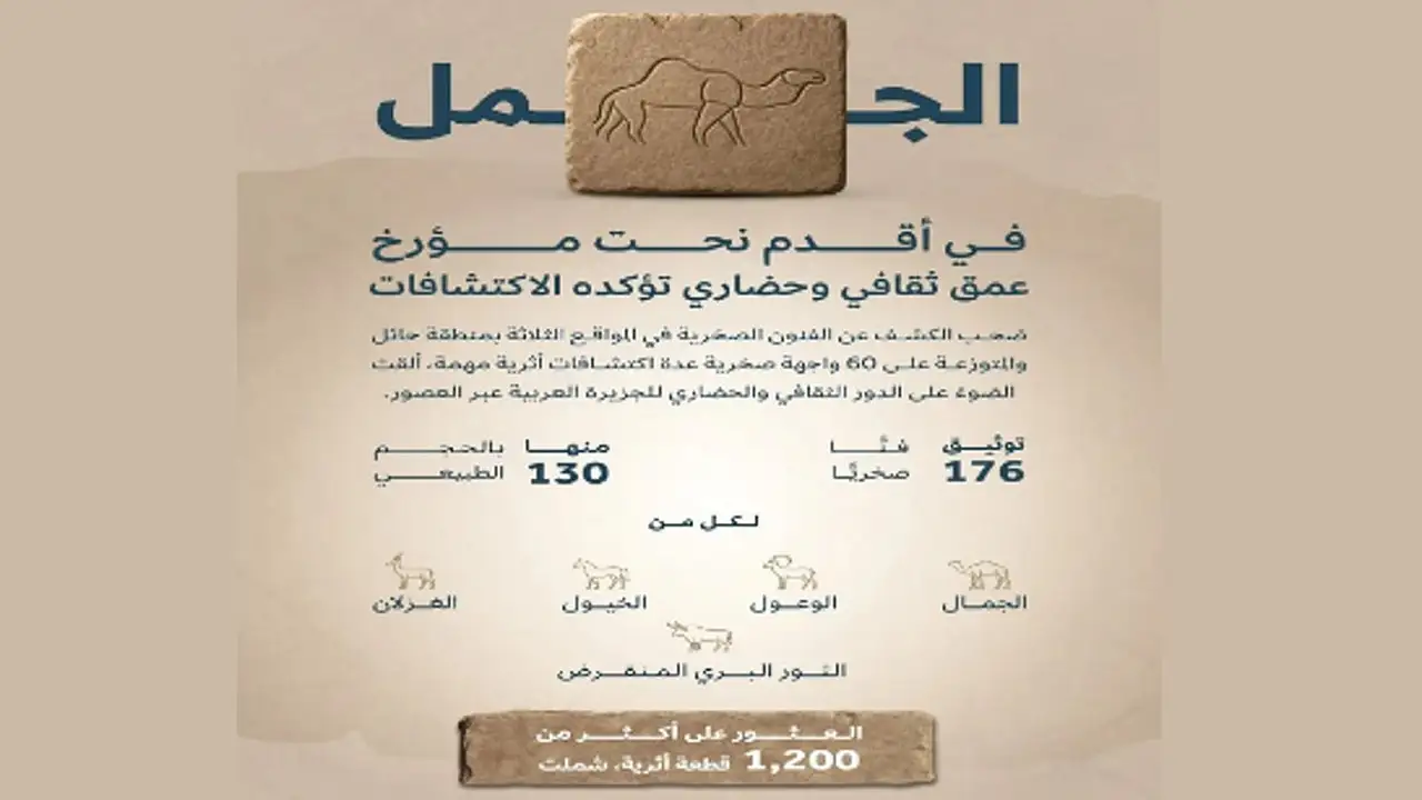 الفن الصخري بصحراء النفود يكشف أسرار حضارات تمتد لأكثر من 12 ألف عام